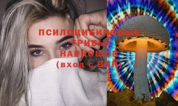 Альфа ПВП Новозыбков
