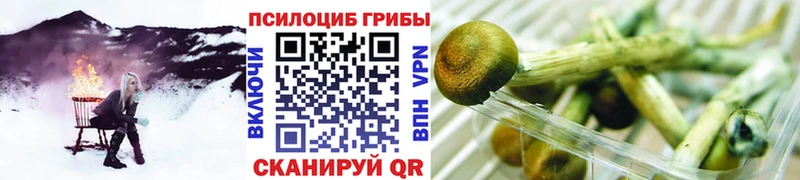 где найти наркотики кракен вход Галлюциногенные грибы MAGIC MUSHROOMS Камень-на-Оби